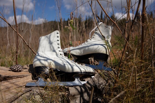 Ice skates outdoors still life