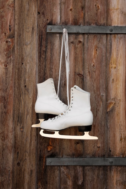 아이스 스케이트 야외 정물