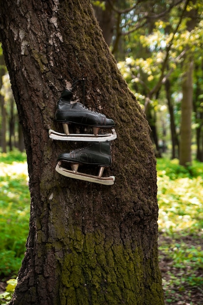 Ice skates outdoors still life