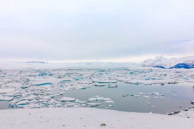 氷河ラグーン、アイスランドの氷山。