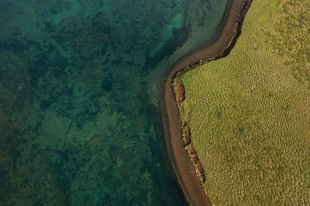 Iceland landscape of beautiful plains