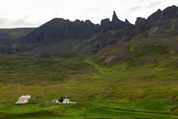 美しい平原のアイスランドの風景