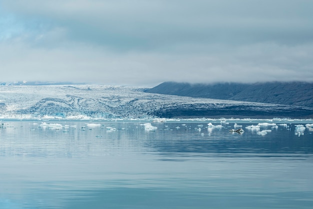 美しい水景のアイスランドの風景