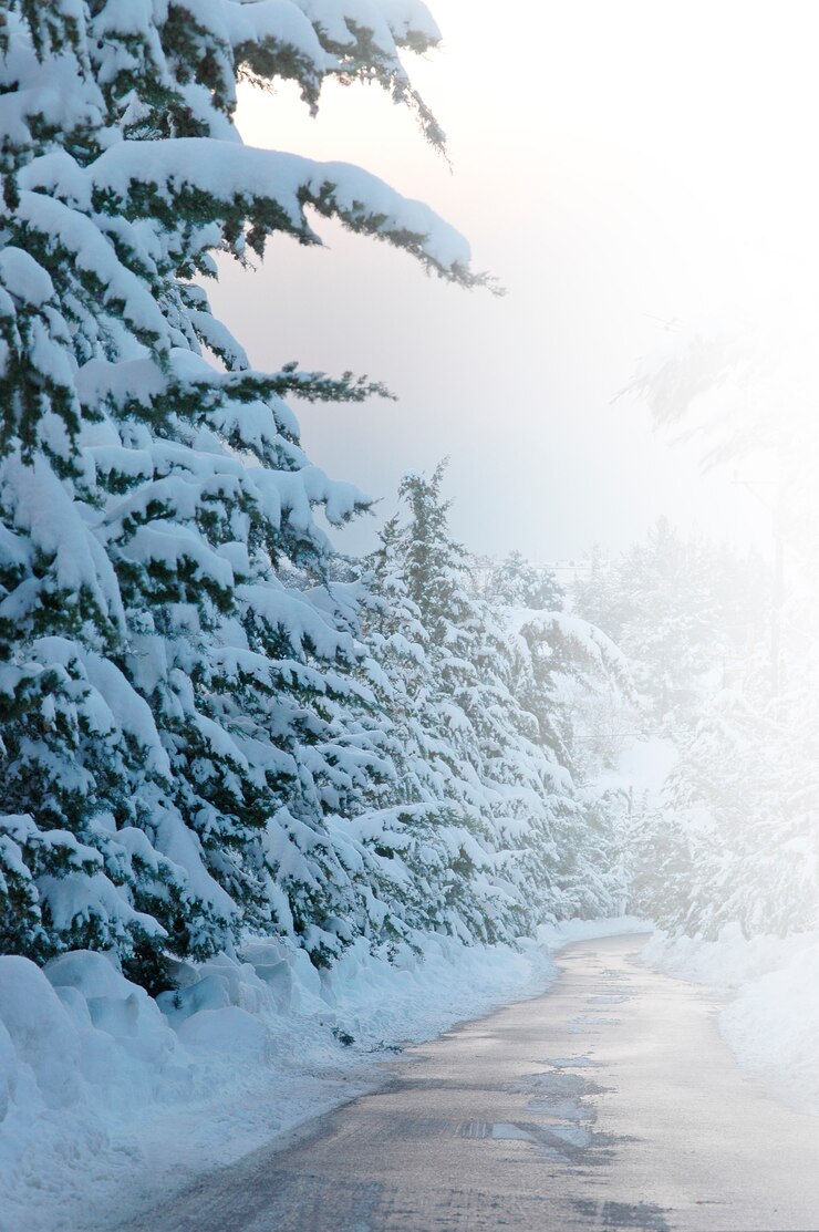 Free Photo icy seasonal mountains healthy color