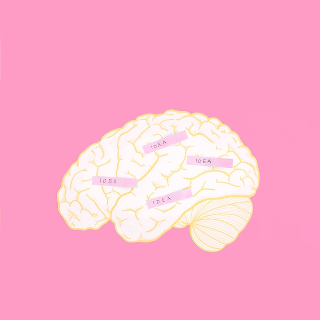Значок идеи на мозге над розовым фоном