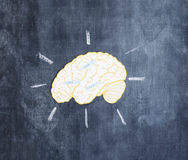 Idea labels over the brain on chalkboard