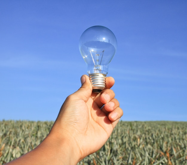 Free photo idea transparent bulb innovation equipment