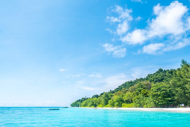 Idyllic beach with trees