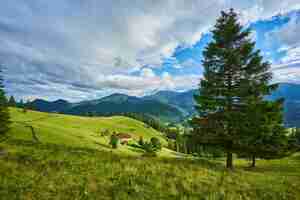 Free photo idyllic landscape in the alps with fresh green meadows and blooming flowers