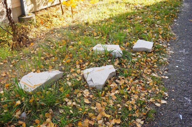 Image of broken concrete on grassy ground