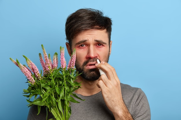 Image of dissatisfied ill bearded man has red eyes, sprays nose with drops to cure sneezing and allergic symptoms, has reaction on trigger, swollen red eyes, poses indoor. Allergy sickness concept