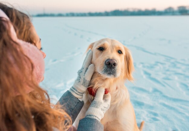 赤いスカーフのクローズアップホワイトゴールデンレトリバーの子犬 プレミアム写真