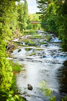 Изображение вида сквозь деревья водопадов, спускающихся каскадом вниз по реке с мостом на расстоянии