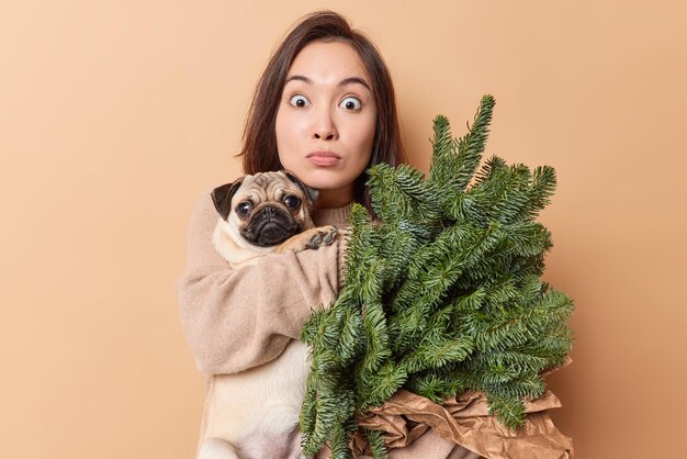 感動したアジアの女性は、家系図の犬とスプルースの緑の枝が茶色の壁に対して屋内で新年を祝うために行く冬時間を楽しんでいる何か素晴らしいポーズを聞いてショックを受けました