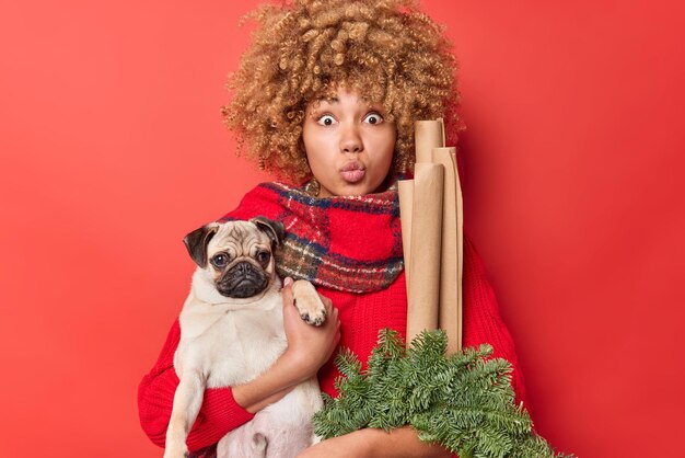 Impressed curly haired woman keeps lips rounded feels wondered holds pedigree pug dog favorite pet green spruce wreath and rolled paper prepares for New Year celebration isolated over red background