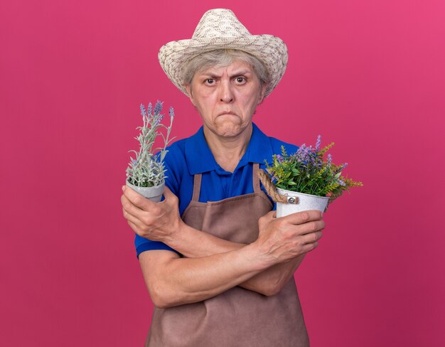 Впечатленная пожилая женщина-садовник в садовой шляпе, скрещивающая руки с цветочными горшками, изолированными на розовой стене с копией пространства
