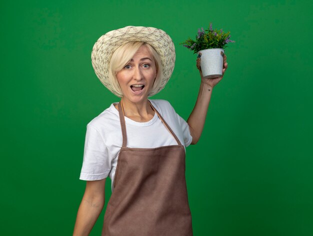 コピースペースのある緑の壁に隔離された植木鉢を上げる帽子をかぶって制服を着た印象的な中年の金髪の庭師の女性