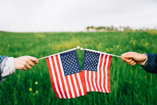 Free photo independence day symbols grass on background