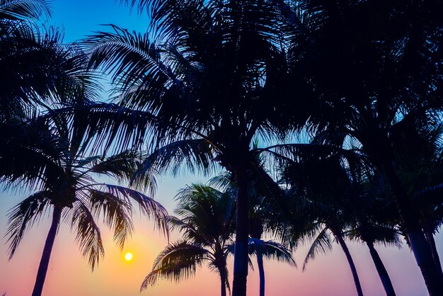 Индия остров горизонт рисунок пальмы