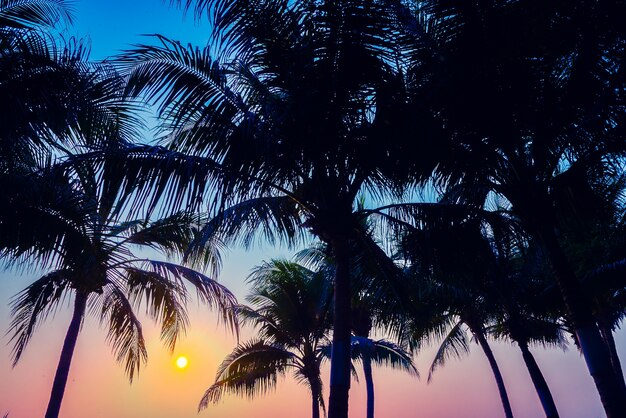 india island horizon pattern palm