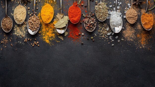 Indian condiments with copy-space above view