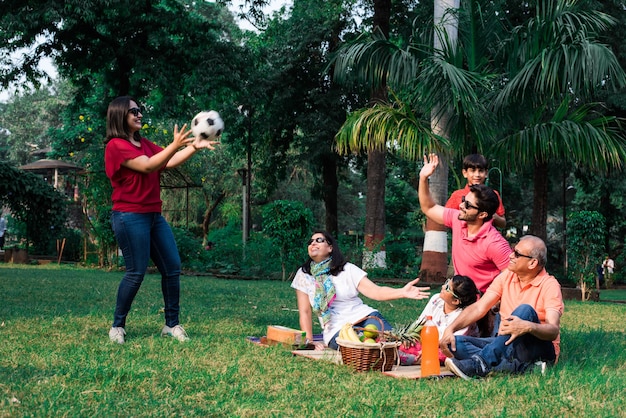 ピクニック​を​楽しんでいる​インド​の​家族​-​フルーツ​バスケット​、​マット​、​飲み物​を​持って​公園​の​芝生​や​緑​の​芝生​の​上に​座っている​アジア​の​家族​の​多​世代​。​セレクティブフォーカス