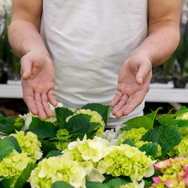 植物のコレクションを提示する個人