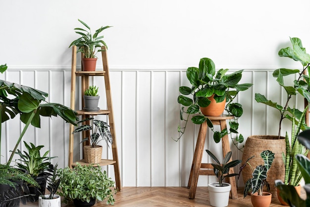 Free photo indoor houseplants in a corner on a parquet floor