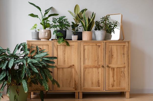 indoor plants in studio