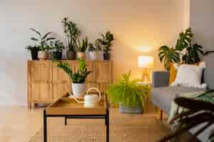 Free photo indoor plants in studio