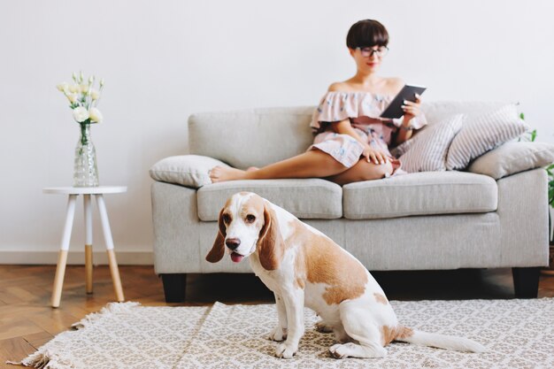 Indoor portrait of elegant black-haired girl relaxing on sofa with cute beagle dog on foreground
