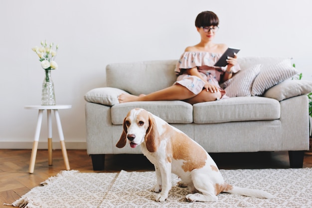 Крытый портрет элегантной черноволосой девушки, расслабляющейся на диване с милой собакой породы бигль на переднем плане