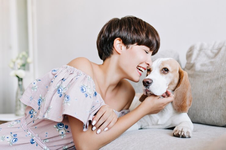 無料Photo 光沢のある濃い茶色の髪の傷を持つ興奮した若い女性の屋内の肖像画は笑顔でビーグル犬を喜ばせた