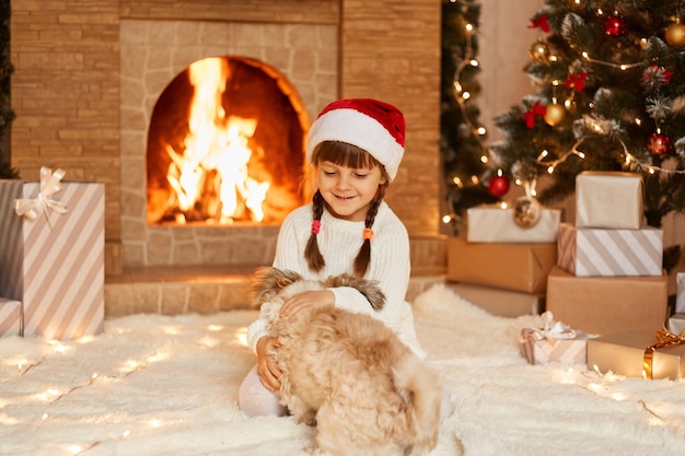 Free photo indoor shot of happy little girl wearing white sweater and santa claus hat, playing with her cute pekingese dog, sitting on floor near christmas tree, present boxes and fireplace.