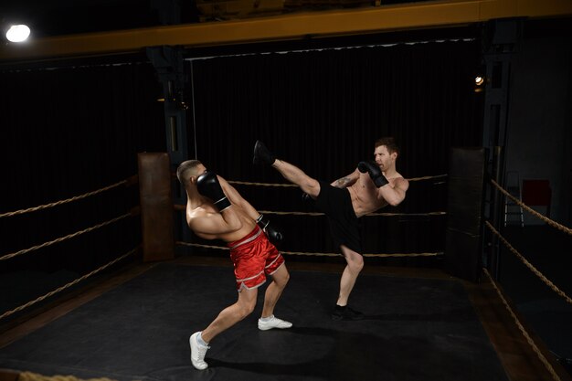 Indoor shot of professional young European male mixed fighters with naked torso boxing on ring: male in black shorts reaching out leg, going to kick his enemy in red trousers right in his face