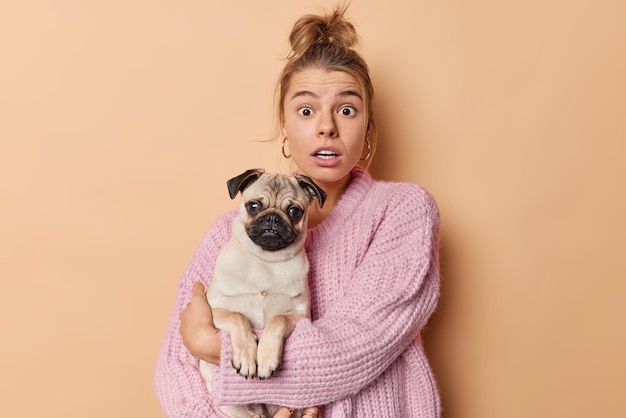빗질한 머리를 가진 겁에 질린 유럽 여성의 실내 사진은 퍼그 개가 좋아하는 강아지를 들고 갈색 배경 위에 격리된 니트 스웨터를 입고 애완 동물을 매우 좋아합니다. 국내 동물 개념입니다.