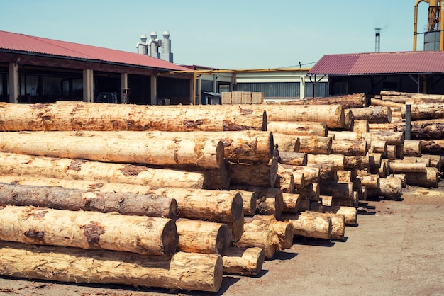 Industrial wood working factory with tree trunks ready to be cut