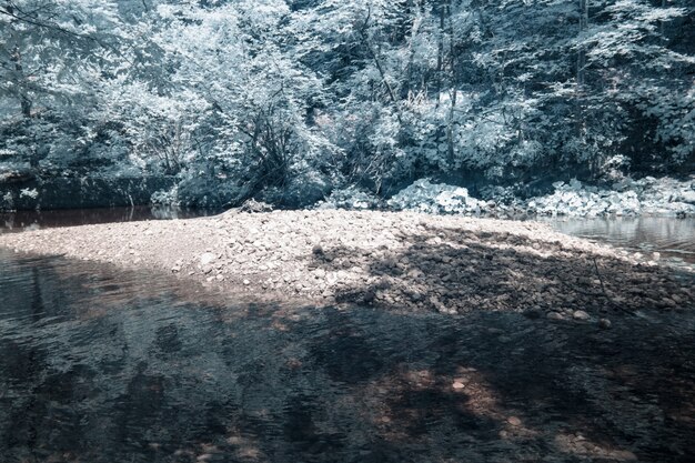 크로아티아의 Skrad 시정촌에서 찍은 이끼 낀 바위의 적외선 사진