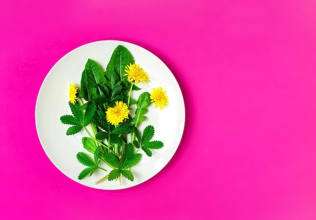 Ингредиенты для свежего зеленого салата с одуванчиками и съедобными цветами на тарелке