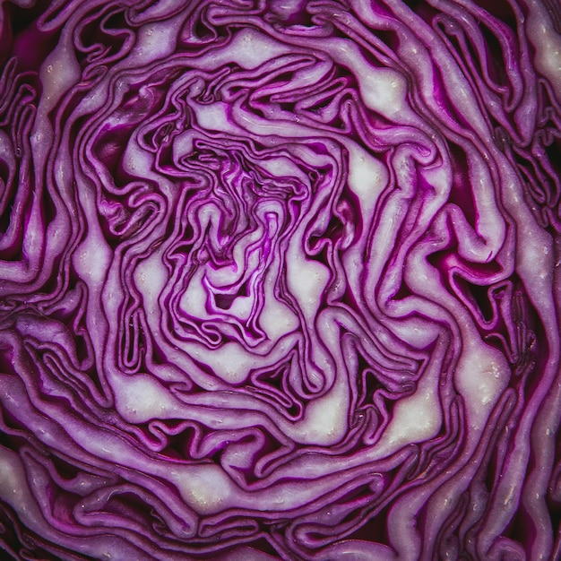 Inside view of red cabbage .