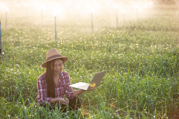 Free photo inspection of aromatic garden quality by farmers