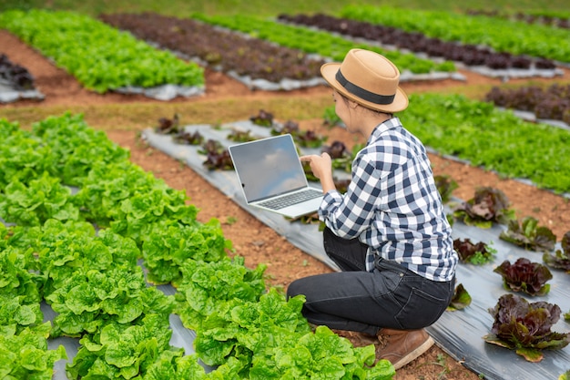 Free photo inspection of vegetable garden quality by farmers