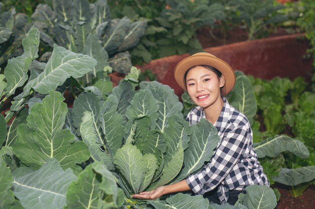 Inspection of vegetable garden quality by farmers 