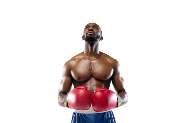 Inspired. Funny, bright emotions of professional african-american boxer isolated on white  wall. Excitement in game, human emotions, facial expression and passion with sport concept.