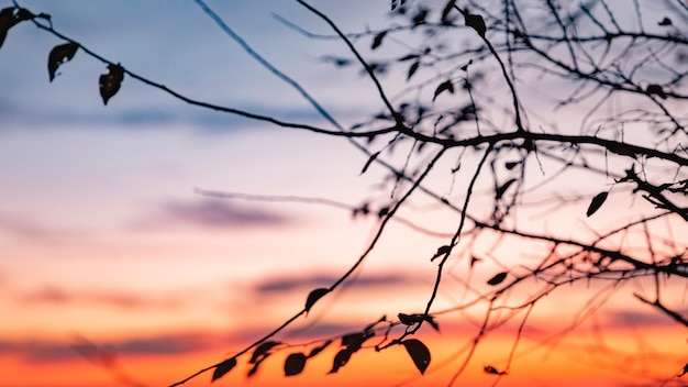 Inspiring view of morning light