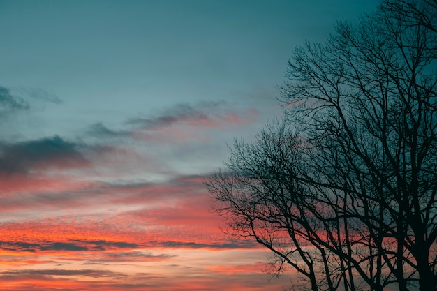 無料写真 夕日の光の感動的な景色