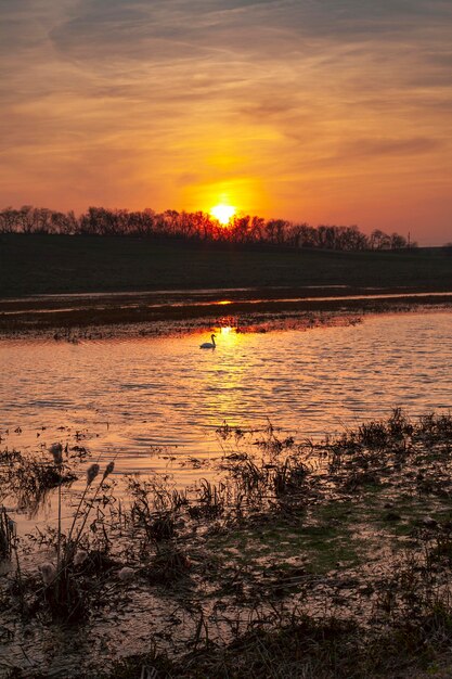 Inspiring view of sunrise light