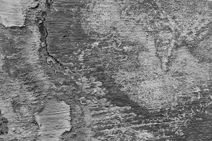 Free Photo interesting texture on concrete wall surface