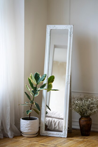 Interior decor with mirror and potted plant