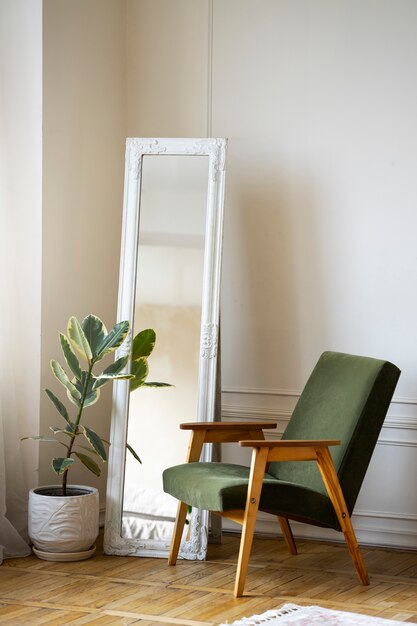 Interior decor with mirror and potted plant